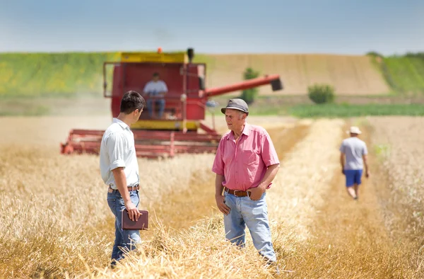 Business people on wheat field — Stock Photo, Image